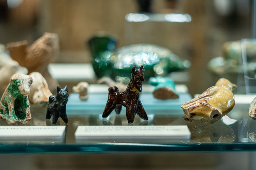 Wystawa Artificalia, naturalia, exotica w Muzeum Archeologicznym we Wrocławiu